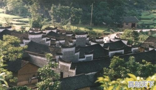 红薯酒你们喜欢喝吗?会酿不 - 真时天下