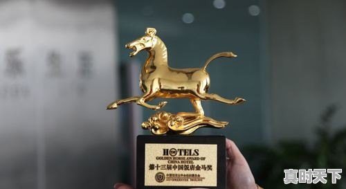 十二大电影节名称有哪些呢 - 真时天下