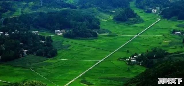 武汉已经快40度了,那么问题来了,湖北哪里避暑最好 - 真时天下