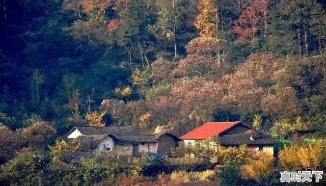 武汉已经快40度了,那么问题来了,湖北哪里避暑最好 - 真时天下