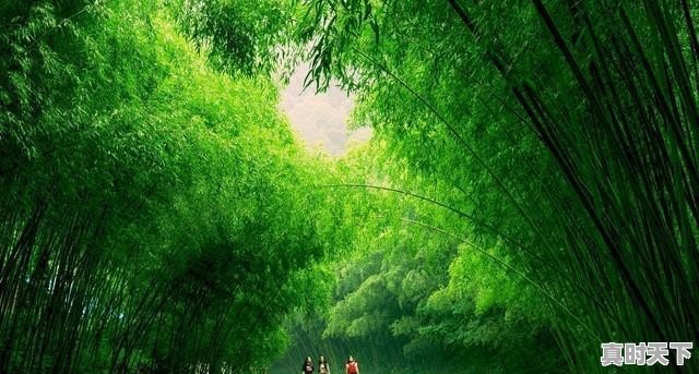 武汉已经快40度了,那么问题来了,湖北哪里避暑最好 - 真时天下