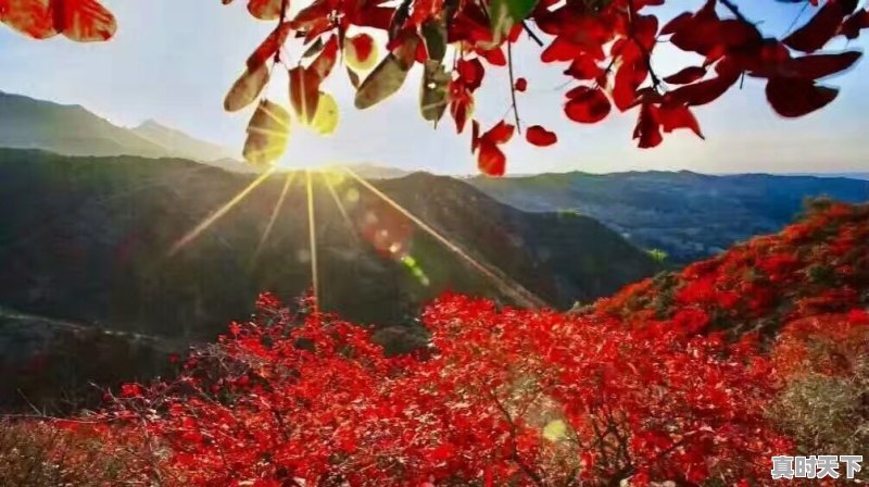 武汉已经快40度了,那么问题来了,湖北哪里避暑最好 - 真时天下