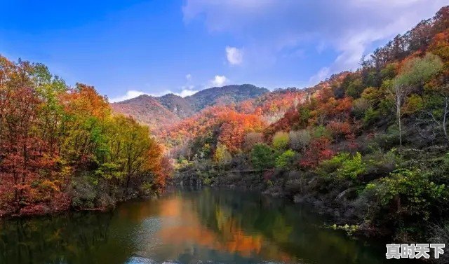 武汉已经快40度了,那么问题来了,湖北哪里避暑最好 - 真时天下