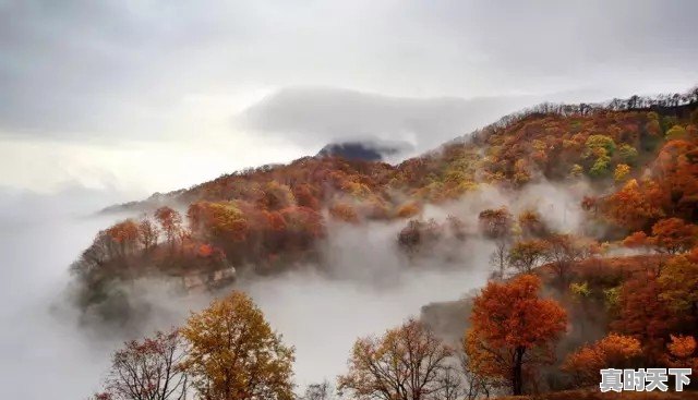 武汉已经快40度了,那么问题来了,湖北哪里避暑最好 - 真时天下
