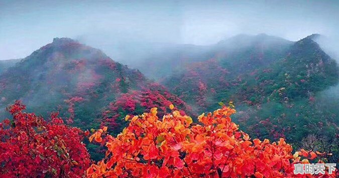 武汉已经快40度了,那么问题来了,湖北哪里避暑最好 - 真时天下