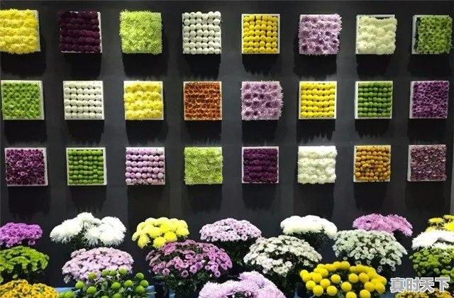 武汉已经快40度了,那么问题来了,湖北哪里避暑最好 - 真时天下