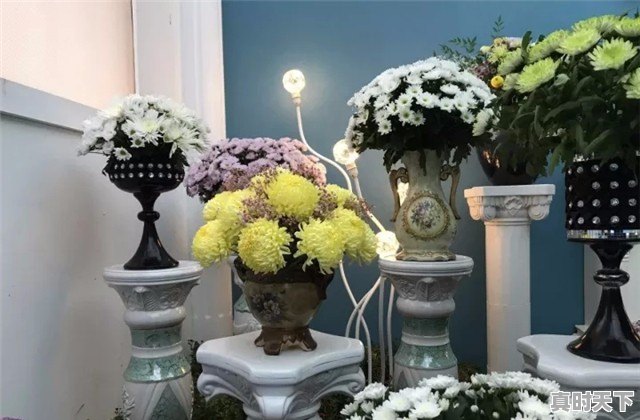 武汉已经快40度了,那么问题来了,湖北哪里避暑最好 - 真时天下