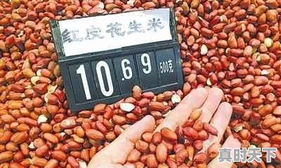近期各地花生价格如何?还有希望上涨吗 - 真时天下