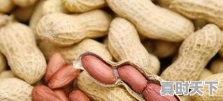 近期各地花生价格如何?还有希望上涨吗 - 真时天下