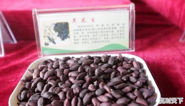 近期各地花生价格如何?还有希望上涨吗 - 真时天下