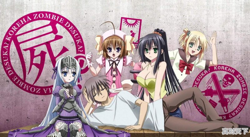 有哪些像《笨蛋、测验、召唤兽》一样,很搞笑的动漫值得推荐 - 真时天下