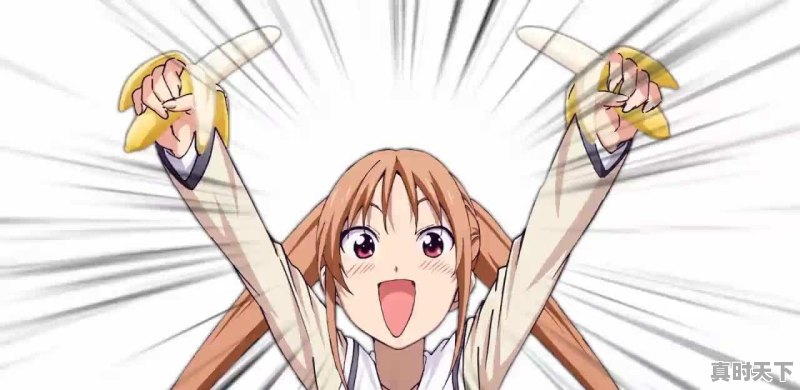 有哪些像《笨蛋、测验、召唤兽》一样,很搞笑的动漫值得推荐 - 真时天下