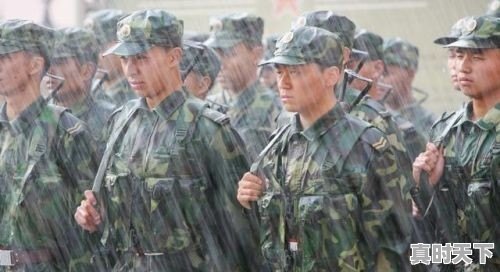 王宝强亲自领金扫帚奖并致歉观众,对此你怎么看 - 真时天下