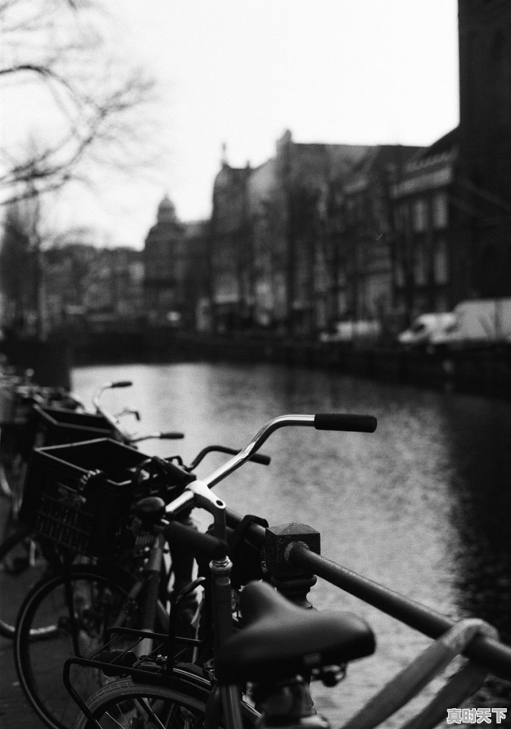 为什么要设立股市？设立股市的目的是什么 - 真时天下