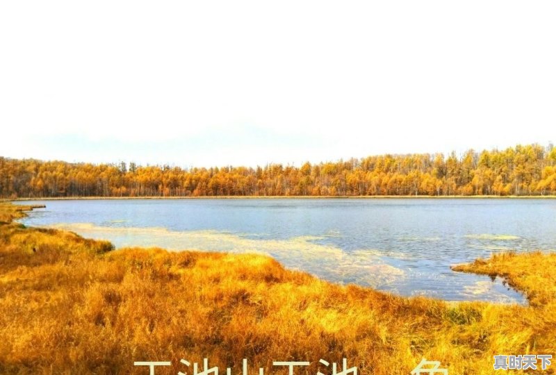 泰安到内蒙古自驾游二十天，想经过承德，走哪条线路比较好 - 真时天下