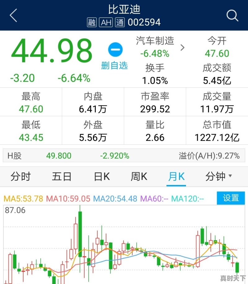 比亚迪股票长期持有价格 - 真时天下