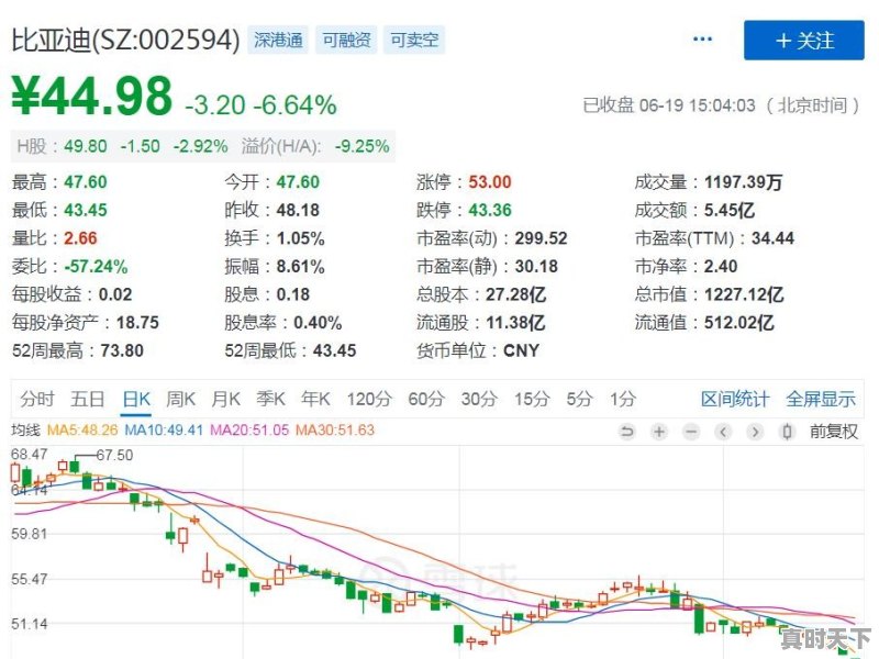 比亚迪股票长期持有价格 - 真时天下