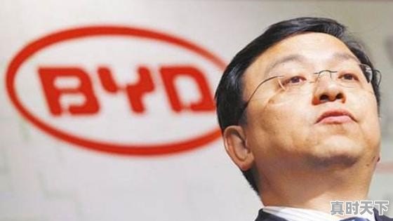 比亚迪股票长期持有价格 - 真时天下