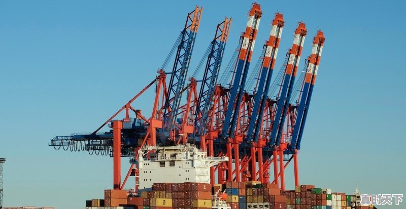 2020年,假如蛋鸡雏涨至6元/只,您还会选择上雏吗 - 真时天下