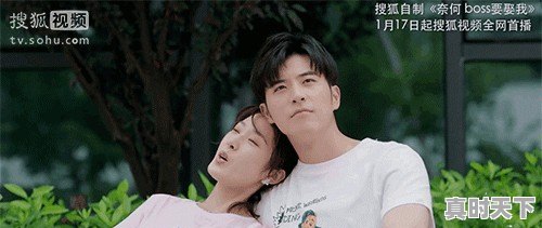 破案题材的电影和连续剧，特别好看的有哪些 - 真时天下