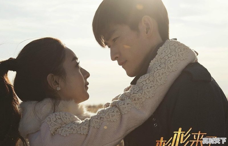 破案题材的电影和连续剧，特别好看的有哪些 - 真时天下