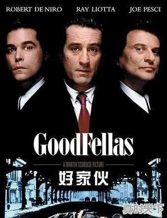 有哪些黑帮电影值得推荐 - 真时天下