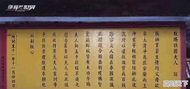 广东省茂名市出过哪些名人和明星 - 真时天下