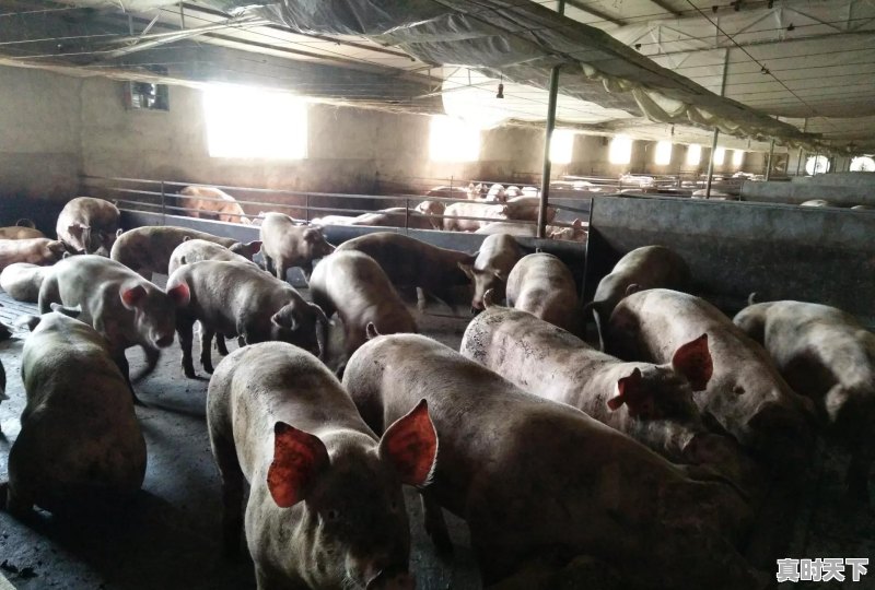 在成长的过程中，留下了你的哪些回忆 - 真时天下