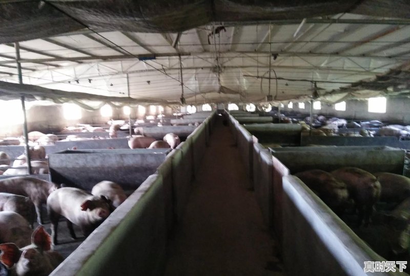 在成长的过程中，留下了你的哪些回忆 - 真时天下