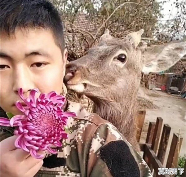 在成长的过程中，留下了你的哪些回忆 - 真时天下