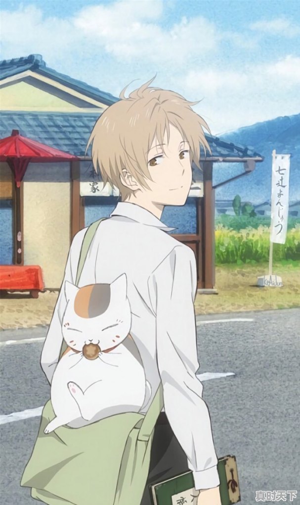 完结版动漫推荐治愈番 - 真时天下