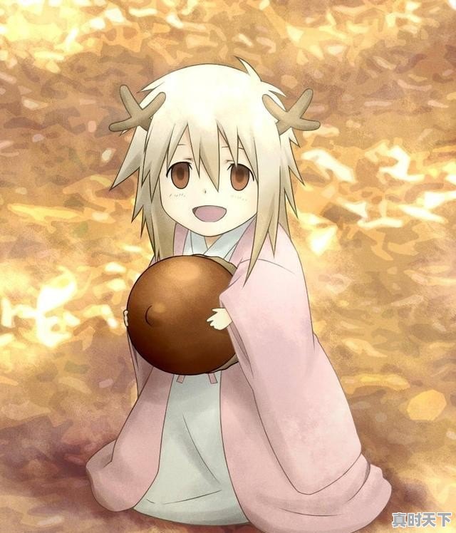 完结版动漫推荐治愈番 - 真时天下