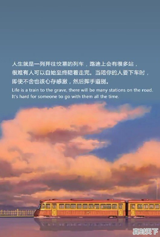 完结版动漫推荐治愈番 - 真时天下