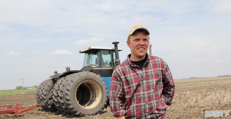 提升农业科技创新水平需要什么条件 - 真时天下