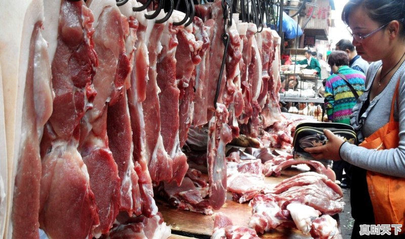 猪肉价格4周连涨30%，春节前是涨势汹汹还是戛然而止 - 真时天下