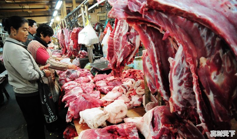 猪肉价格4周连涨30%，春节前是涨势汹汹还是戛然而止 - 真时天下