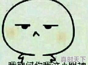 二手车如何连接车门锁 - 真时天下