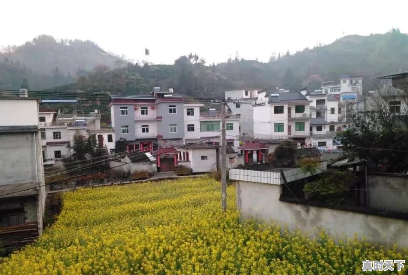 安庆市迎江区天气 - 真时天下