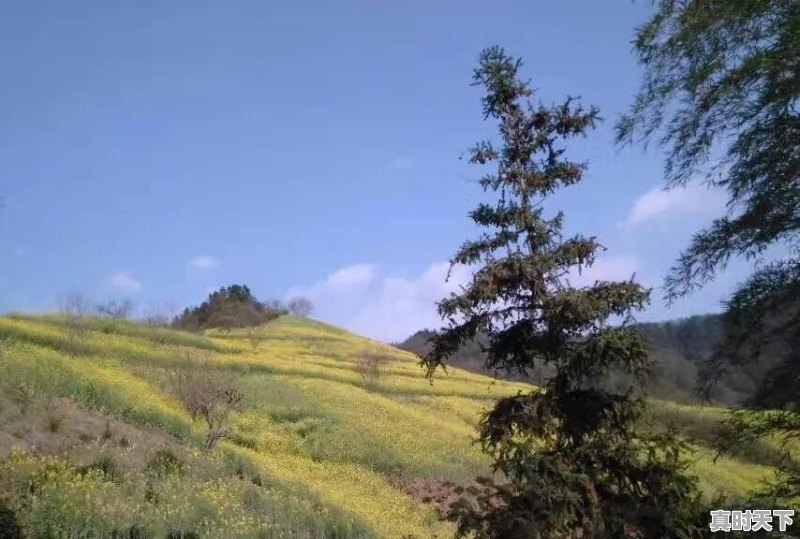 安庆市迎江区天气 - 真时天下