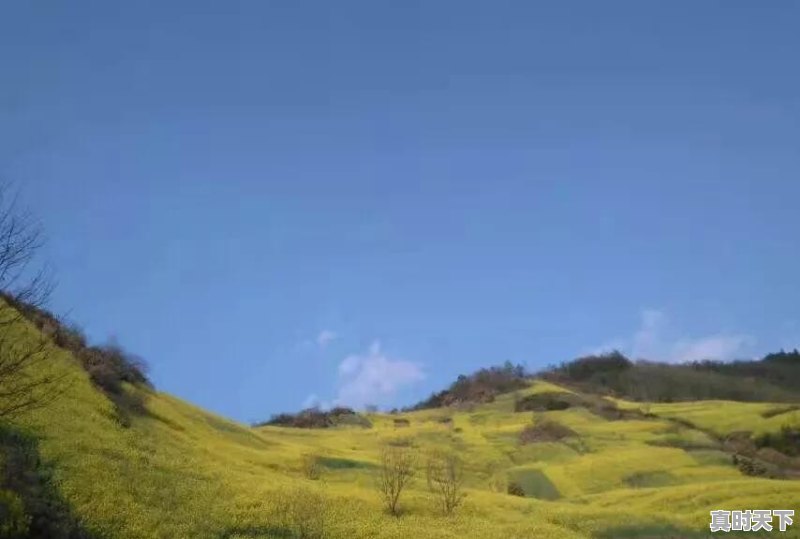 安庆市迎江区天气 - 真时天下