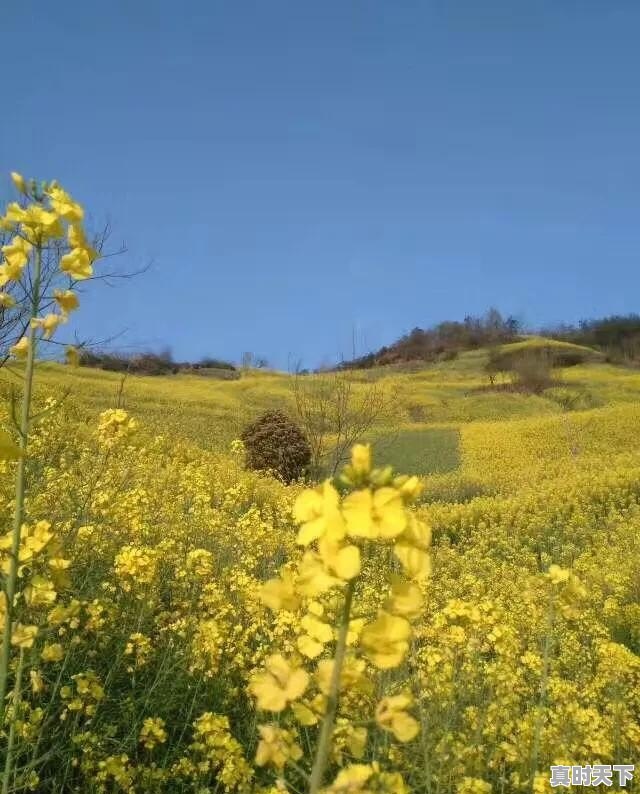 安庆市迎江区天气 - 真时天下