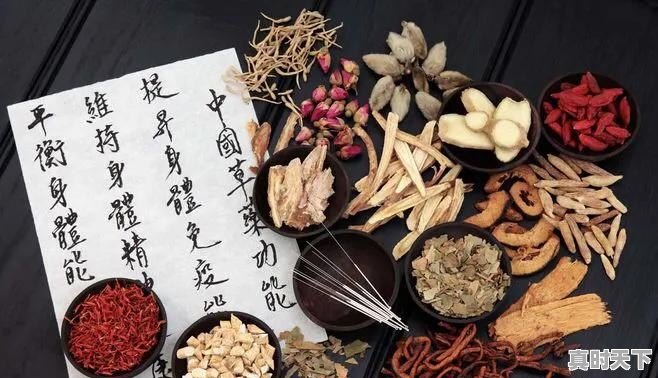 2020年种植中药材党参、黄芪、当归、柴胡秋后价格怎么样 - 真时天下