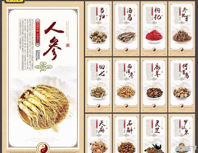 2020年种植中药材党参、黄芪、当归、柴胡秋后价格怎么样 - 真时天下