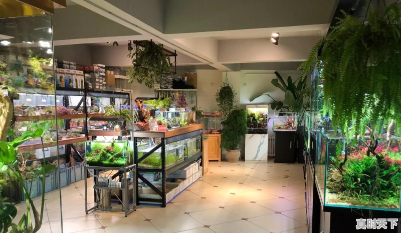 楼市价量齐跌,是何原因 - 真时天下