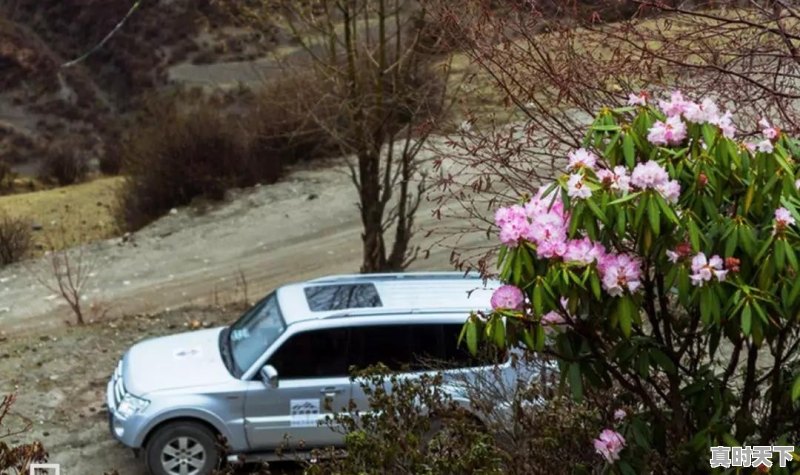 去西藏旅游，是藏南风景美还是藏北风景美 - 真时天下