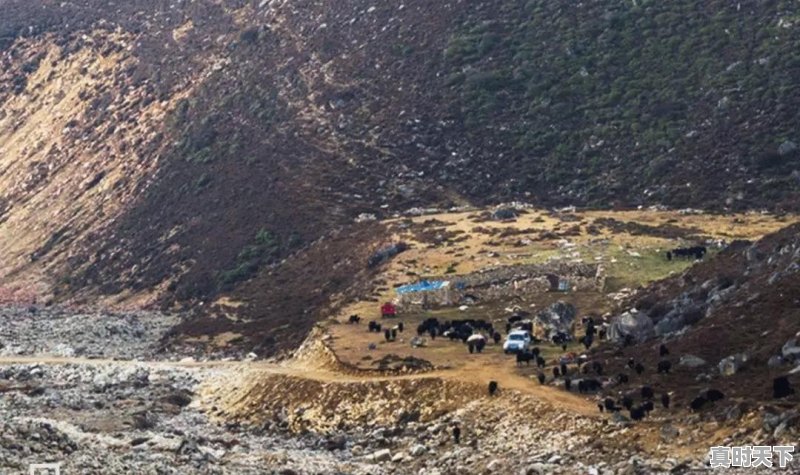 去西藏旅游，是藏南风景美还是藏北风景美 - 真时天下