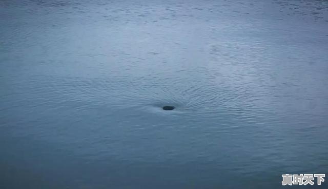 去西藏旅游，是藏南风景美还是藏北风景美 - 真时天下