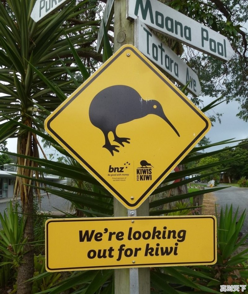 淘宝网上有二手车拍卖，这个能不能信得过？有没有陷阱 - 真时天下