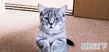 股市里的年线月线日线,今年都变高了是怎么回事 - 真时天下