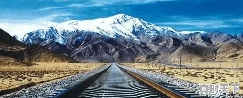 股票开市急涨说明什么 - 真时天下